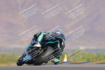 media/Nov-12-2023-SoCal Trackdays (Sun) [[5d1fba4e7d]]/Turn 9 Backside (1015am)/